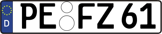 PE-FZ61