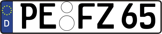 PE-FZ65