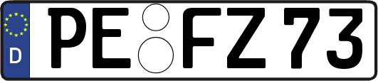 PE-FZ73