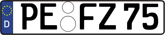 PE-FZ75