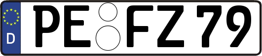 PE-FZ79