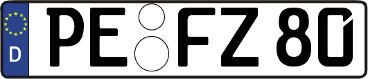 PE-FZ80