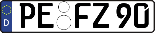 PE-FZ90
