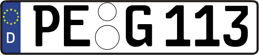 PE-G113