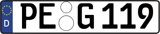 PE-G119