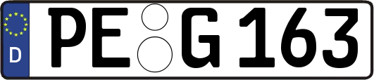 PE-G163