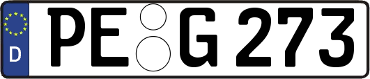 PE-G273