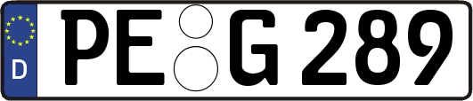 PE-G289
