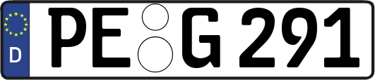 PE-G291
