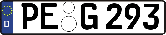 PE-G293