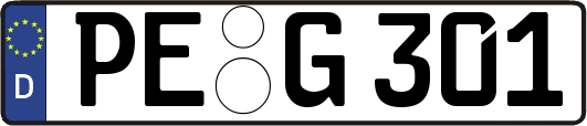 PE-G301