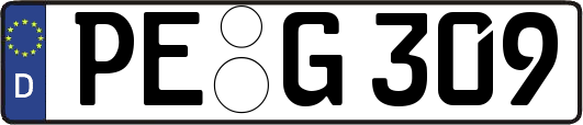 PE-G309