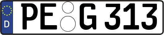 PE-G313