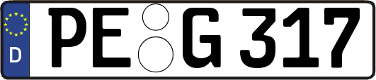 PE-G317