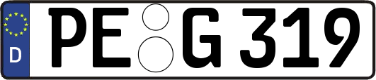 PE-G319