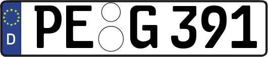 PE-G391