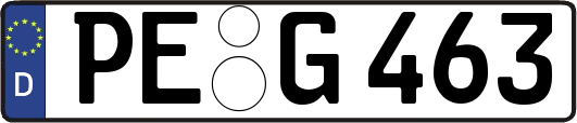 PE-G463