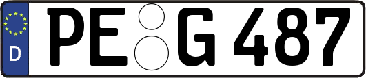 PE-G487