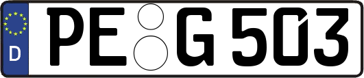 PE-G503