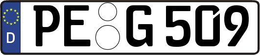 PE-G509