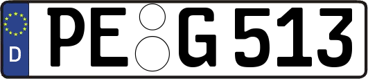 PE-G513