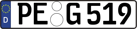 PE-G519