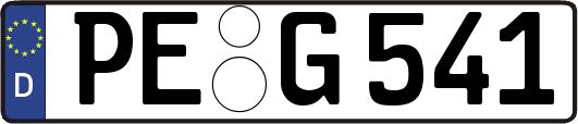 PE-G541