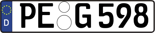PE-G598