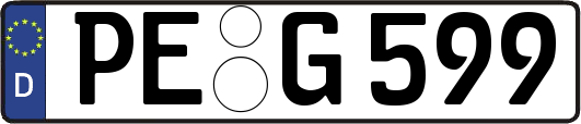 PE-G599