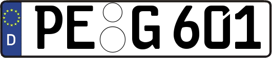 PE-G601