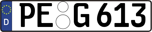 PE-G613