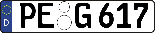 PE-G617