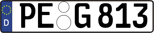 PE-G813