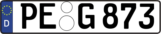 PE-G873