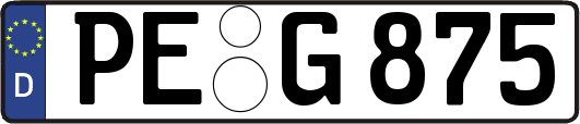 PE-G875
