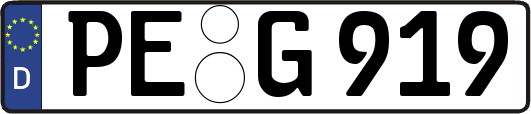 PE-G919