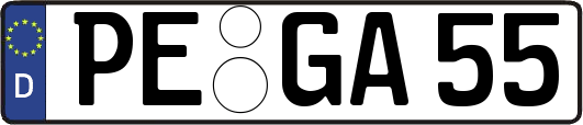 PE-GA55