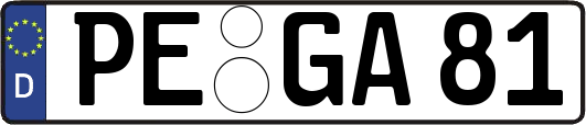 PE-GA81