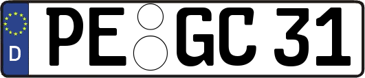 PE-GC31