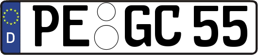 PE-GC55