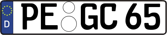 PE-GC65