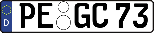PE-GC73