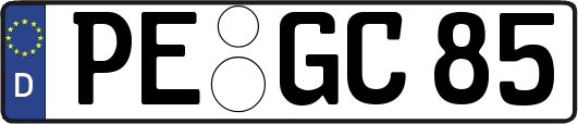 PE-GC85