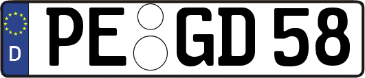 PE-GD58
