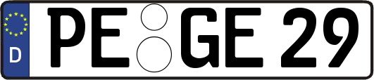 PE-GE29