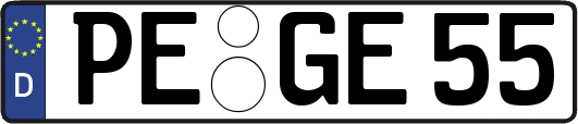 PE-GE55