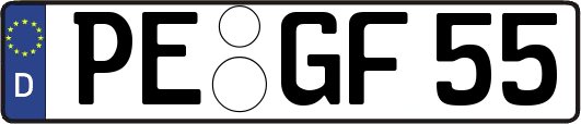 PE-GF55