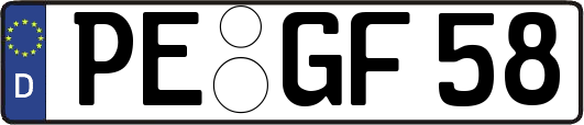 PE-GF58