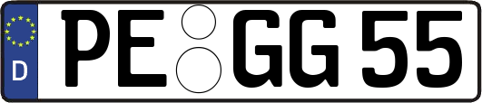 PE-GG55