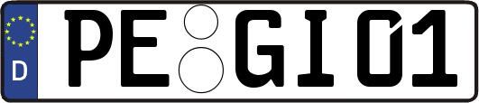PE-GI01